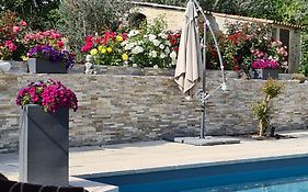 Appartements Dans Villa Privee Avec Piscine, Jardin, Parking Clos, Wifi, Climatisation
